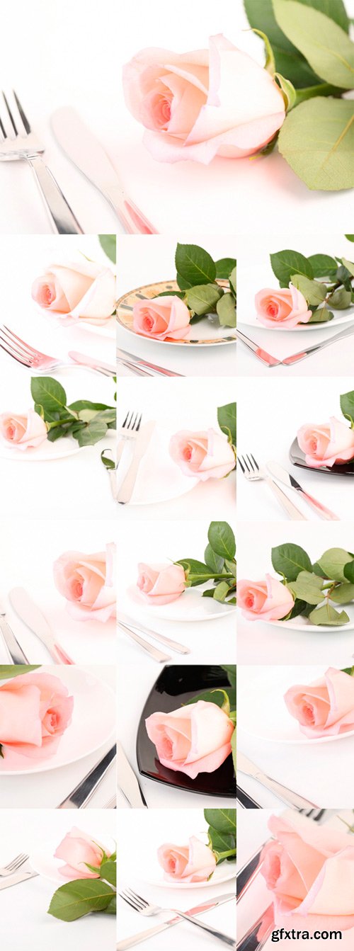 Table devices with a pink rose