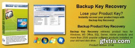 Nsasoft Backup Key Recovery v2.1.8.0 (+ Portable)