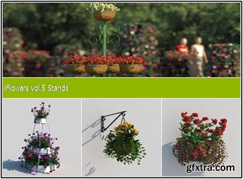 R&D Group iFlowers vol 5 Stands