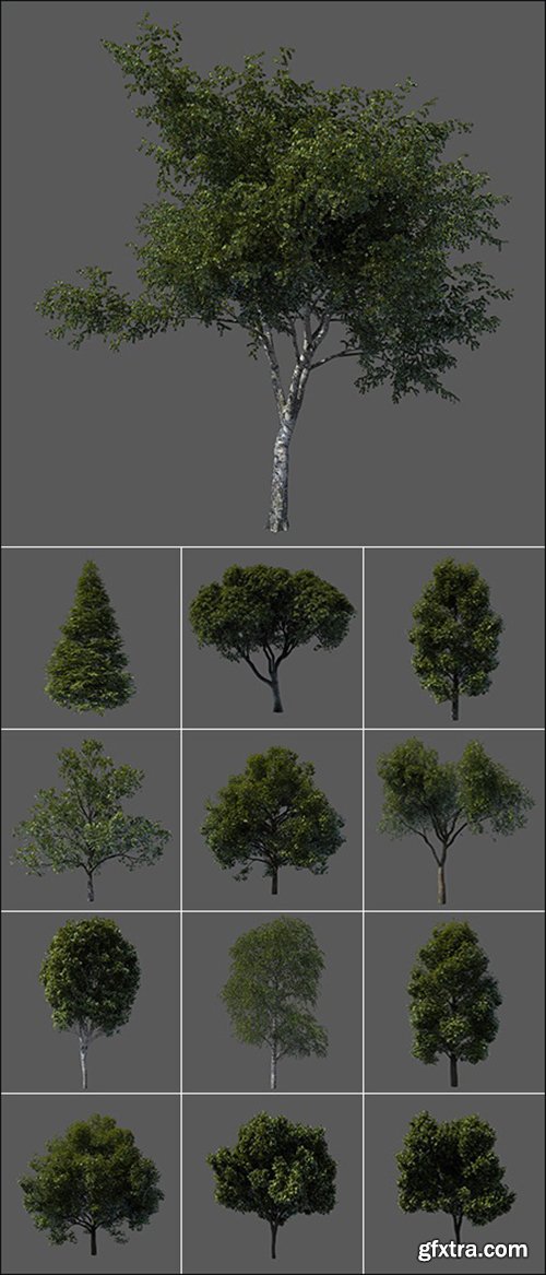 3D Models Tree from Vargov