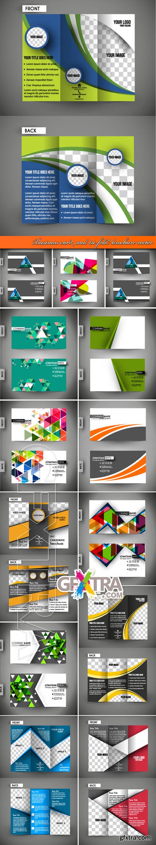 Business card and tri-fold brochure vector