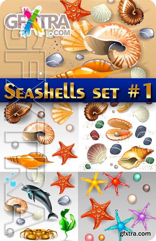 Collection of seashells #1 - Stock Vector