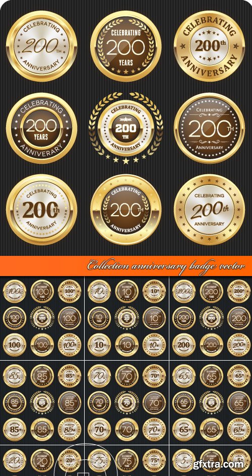 Collection anniversary badge vector