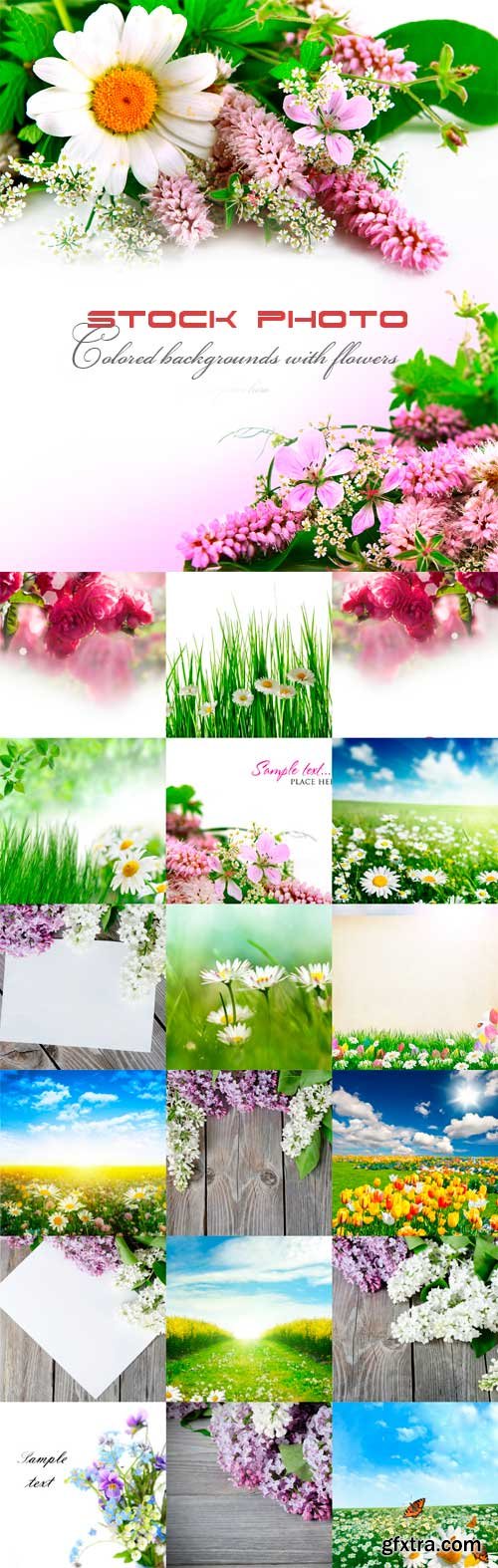 Colored backgrounds with flowers