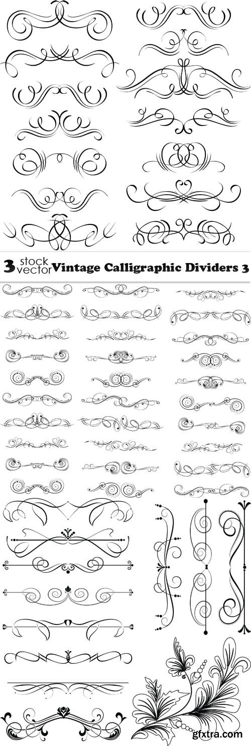 Vectors - Vintage Calligraphic Dividers 3