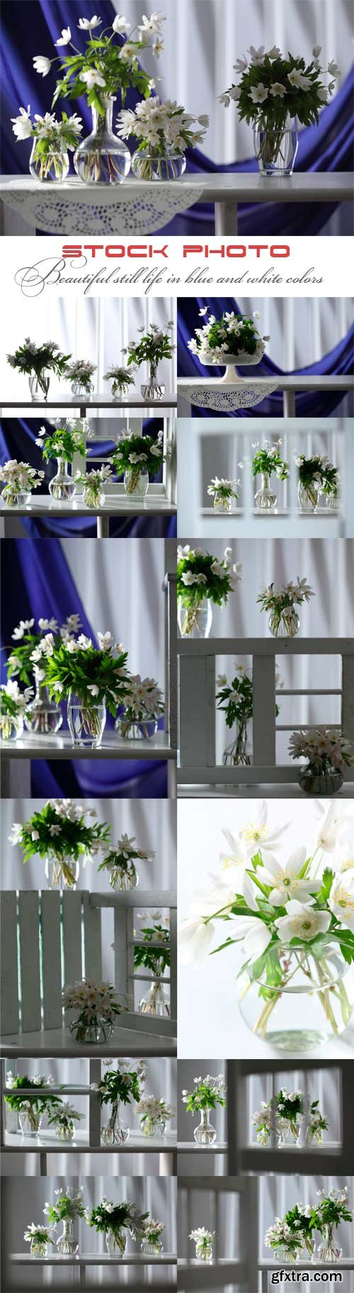 Beautiful still life in blue and white colors