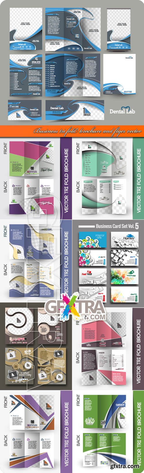 Business tri fold brochure and flyer vector