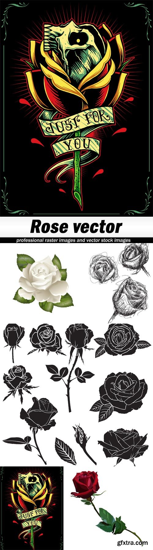 Rose vector