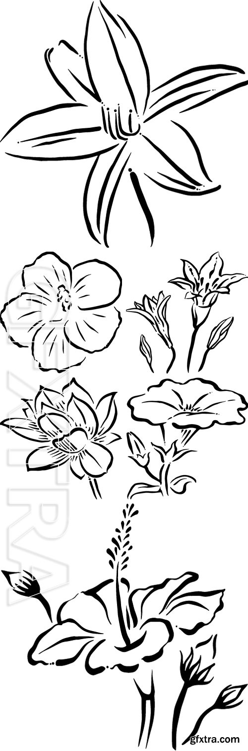 Stock Vectors - Flower vector illustration