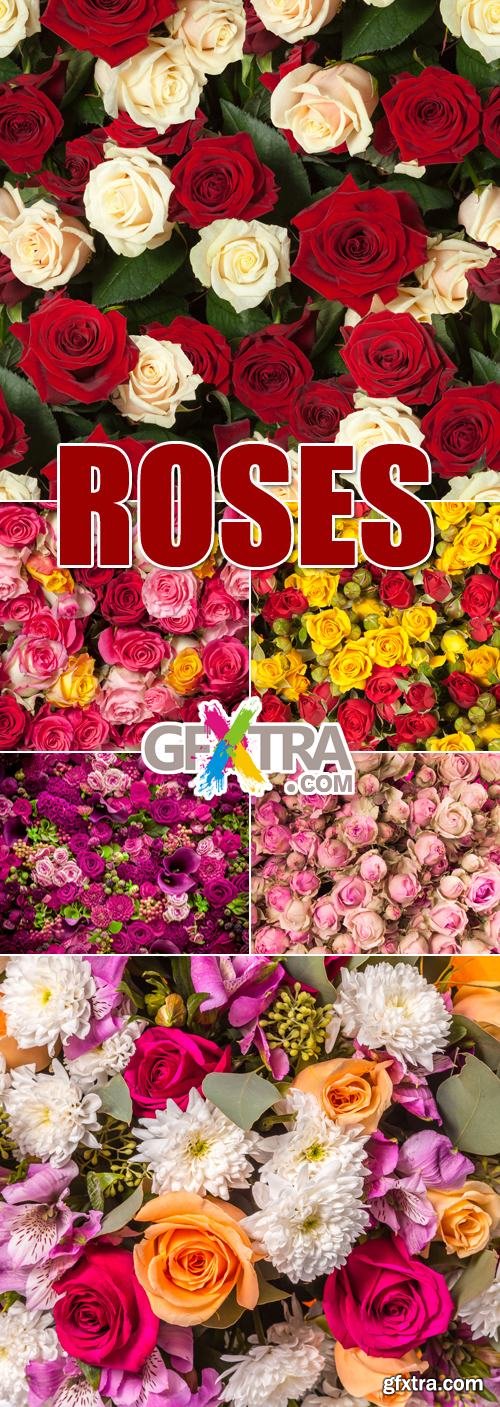 Stock Photo - Roses Backgrounds 3