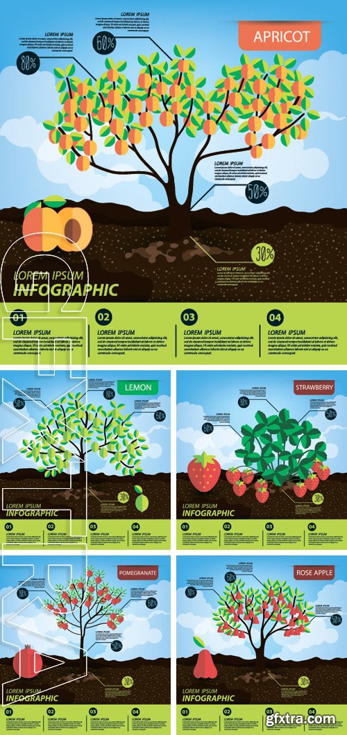Stock Vectors - Infographics, fruits vector illustration