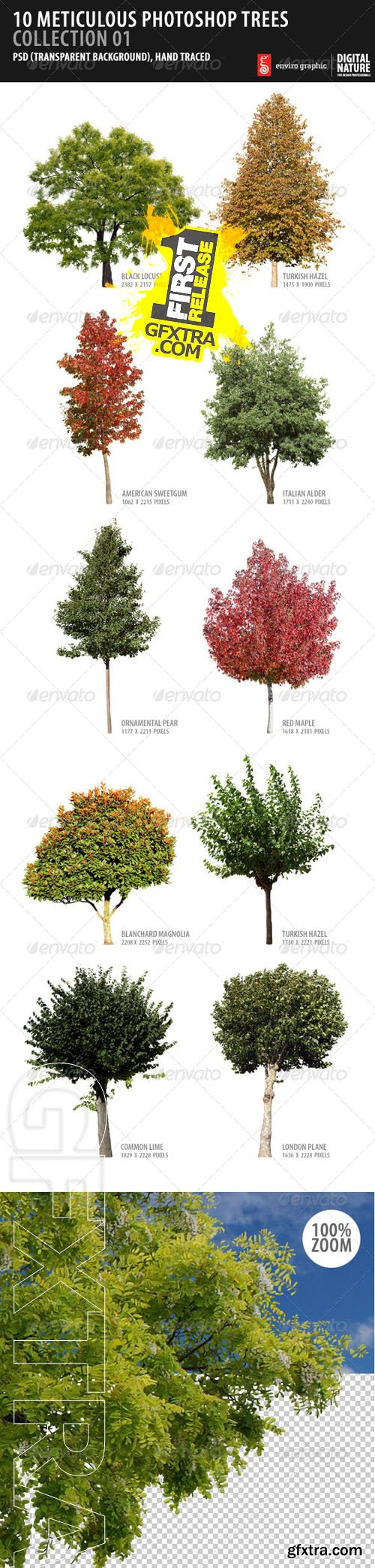 GraphicRiver - 10 Meticulous Photoshop Trees Collection 01