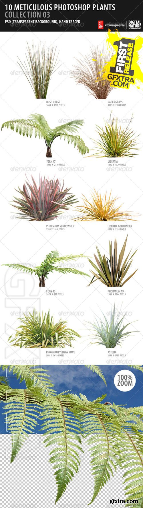 GraphicRiver - 10 Meticulous Photoshop Plants Collection 03