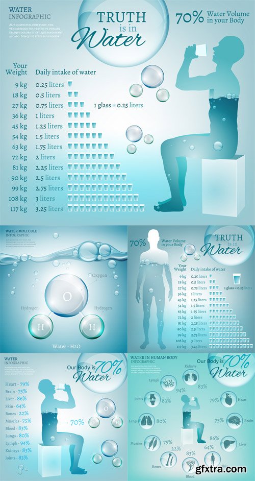 Water in Body Vector Set