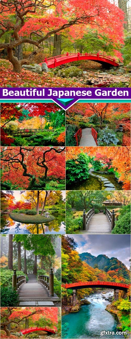 Beautiful Japanese Garden 9X JPEG
