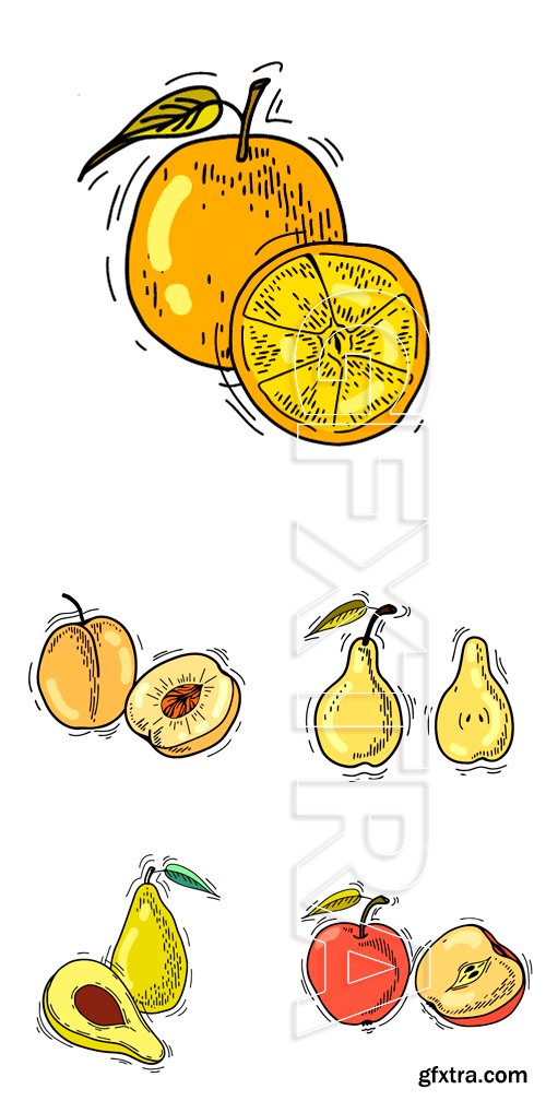 Stock Vectors - Freehand drawing fruit. Vector illustration