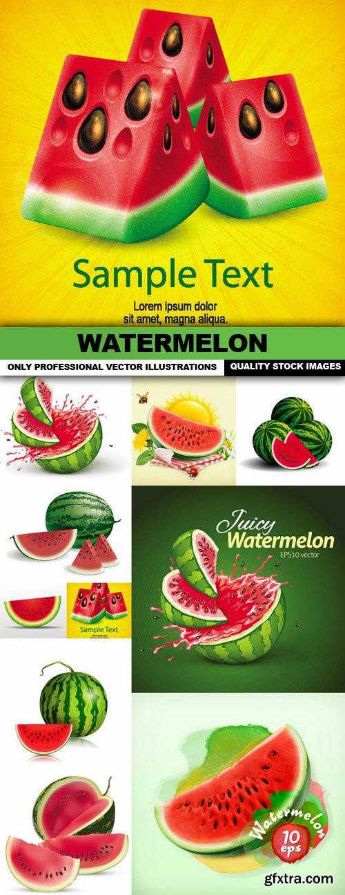 Watermelon - 10 Vector