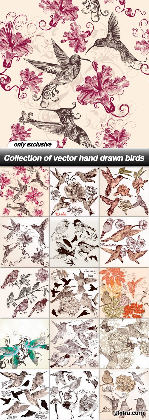 Collection of vector hand drawn birds - 15 EPS