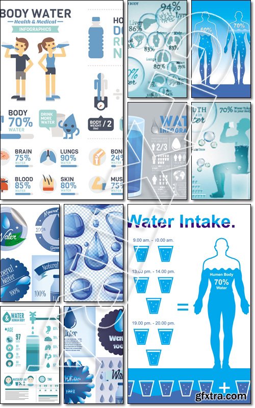 Water is the driving force of all nature. Bio infographics with water molecule in transparent style. Ecology and biochemistry concept - Vector