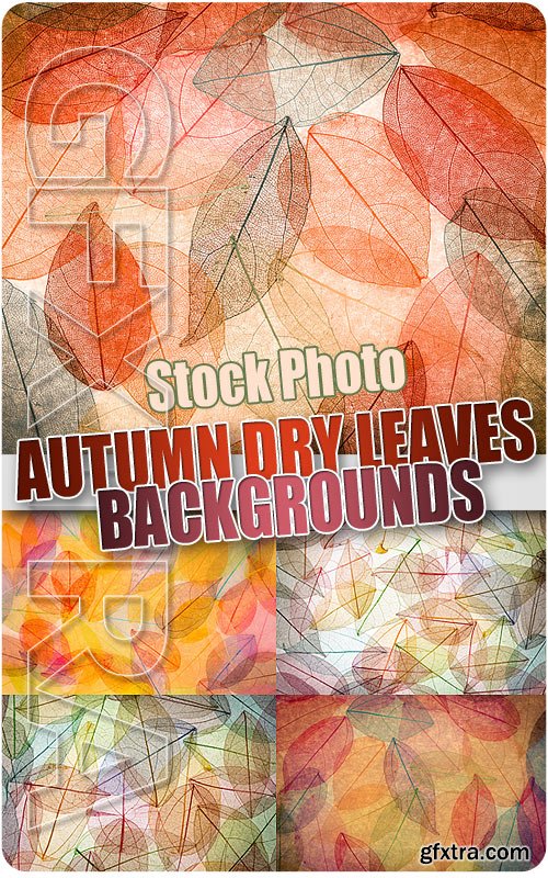 Autumn dry leaves background - UHQ Stock Photo