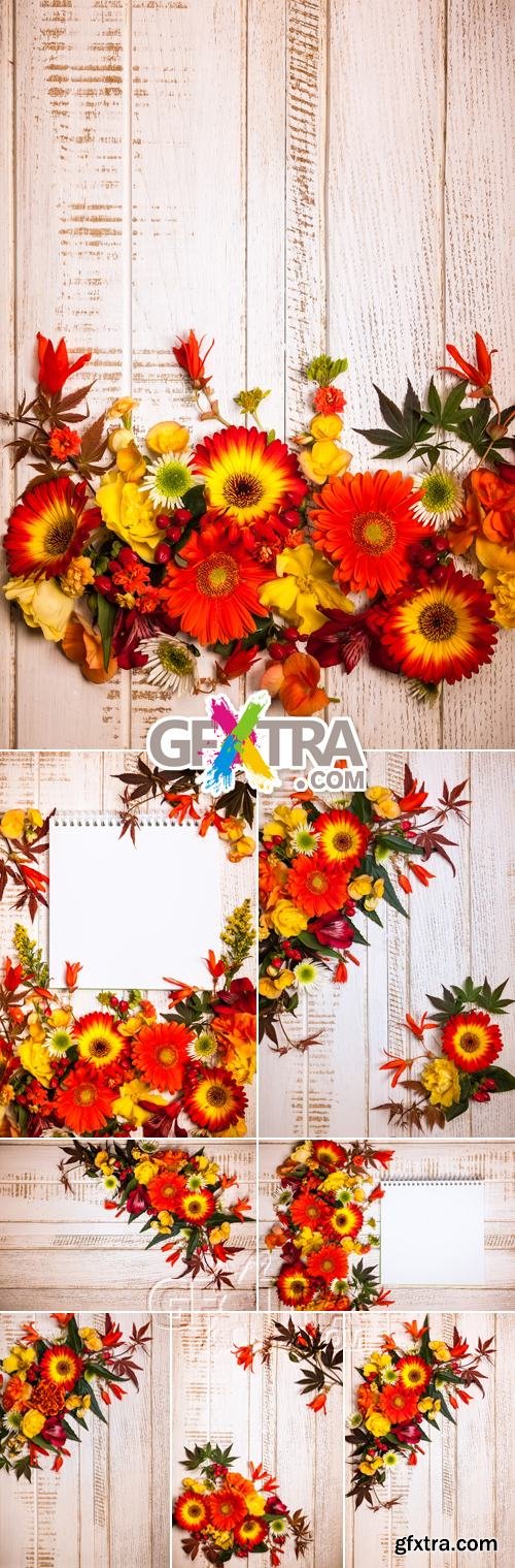 Stock Photo - Autumn Flowers on Wooden Background
