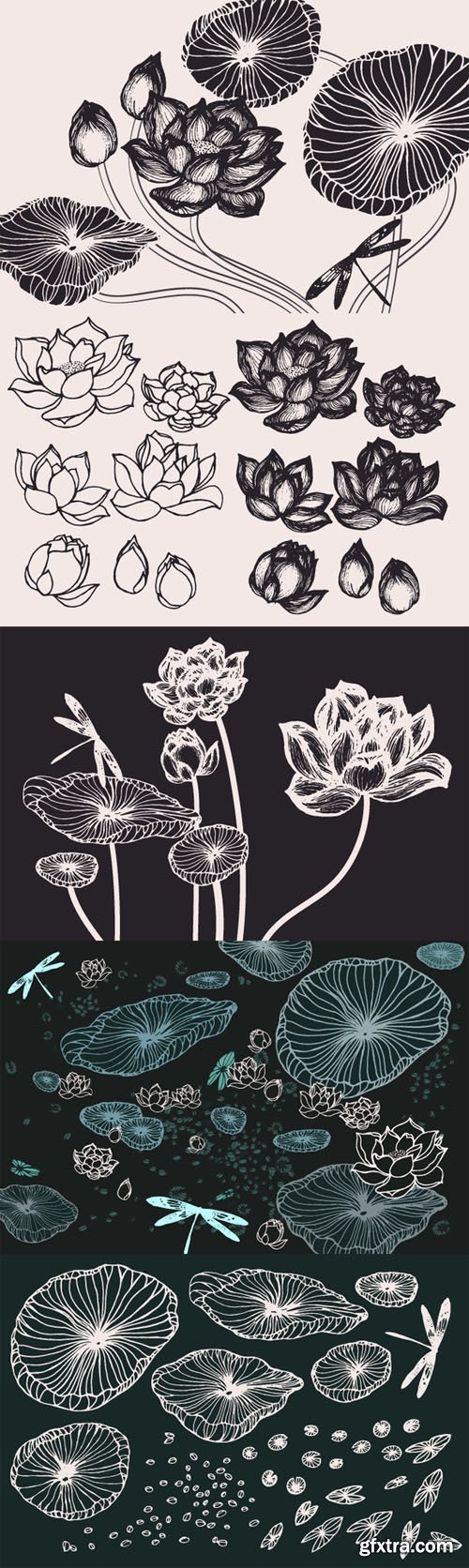 Lotus Flowers & Leaves Drawings - CM 131007