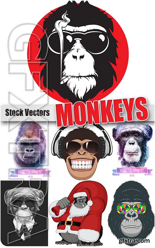 Monkeys - Stock Vectors