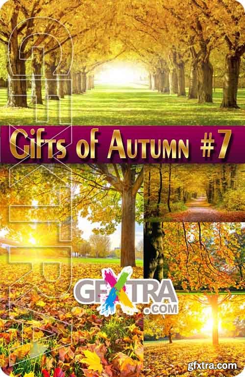 Gifts of Autumn #7 - Stock Photo