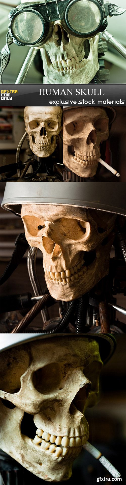 Human Skull - 5 UHQ JPEG