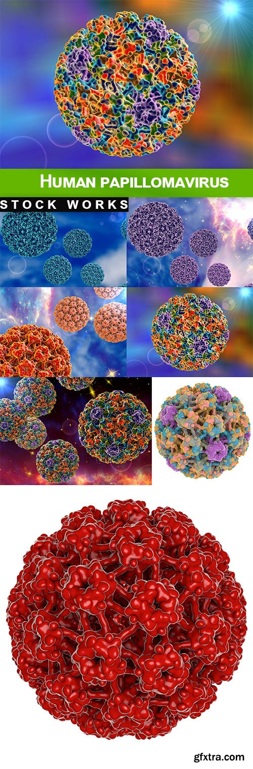 Human papillomavirus - 8 UHQ JPEG