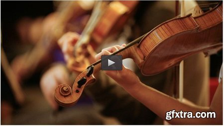Learn the Violin - No Music Experience Necessary!
