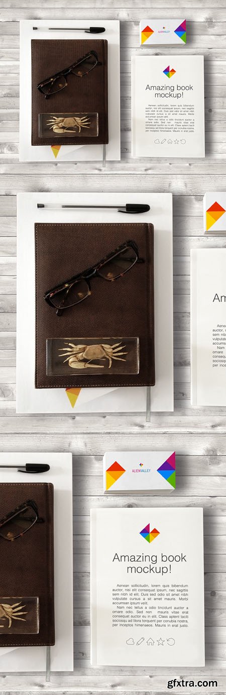 Book and Business Card PSD