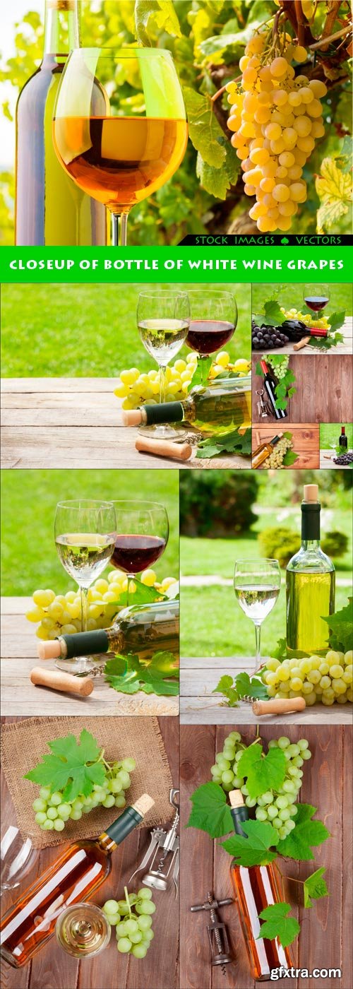 Closeup of bottle of white wine grapes 10x JPEG