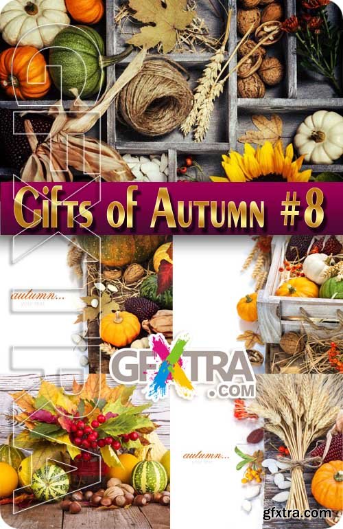 Gifts of Autumn #8 - Stock Photo