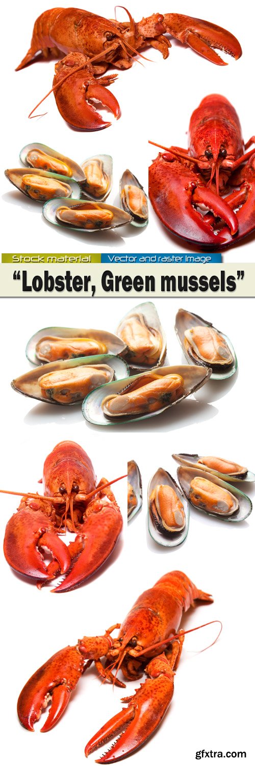 Red lobster and Green mussels