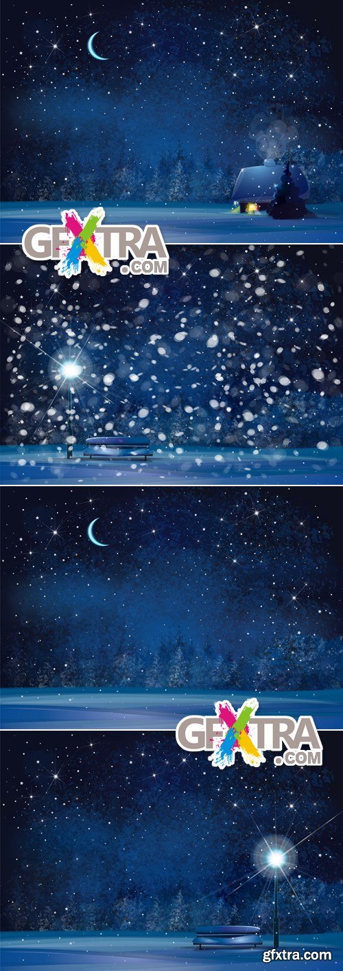 Winter Night Backgrounds Vector
