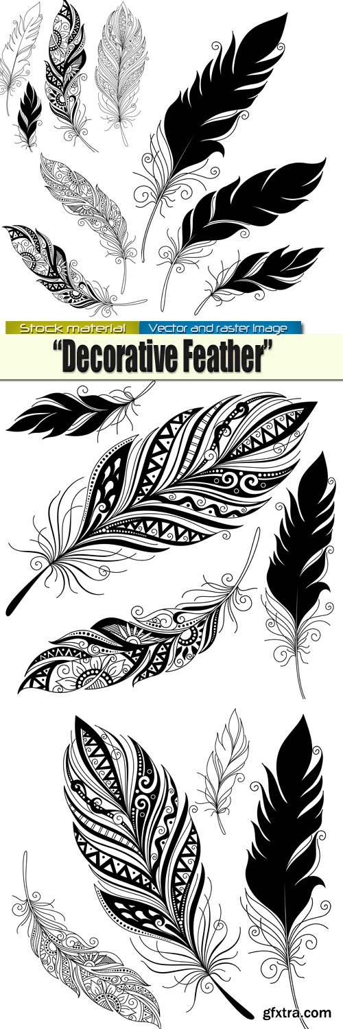 Decorative feathers in Vector