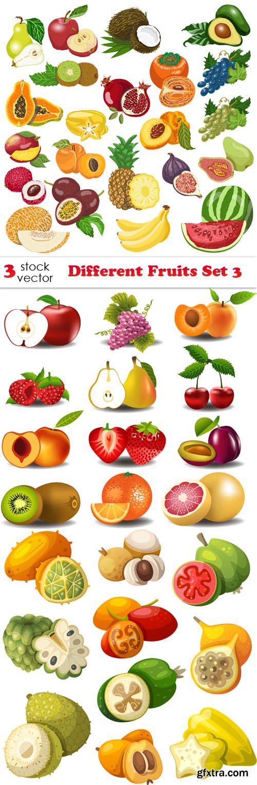Vectors - Different Fruits Set 3