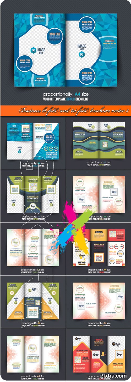 Business bi-fold and tri-fold brochure vector 3
