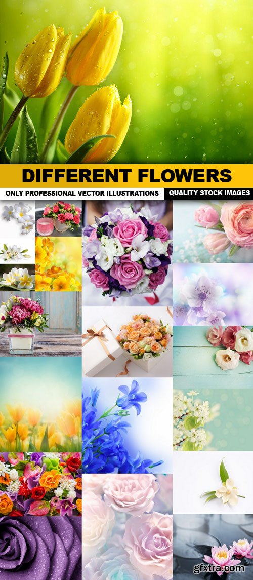 Different Flowers - 20 HQ Images