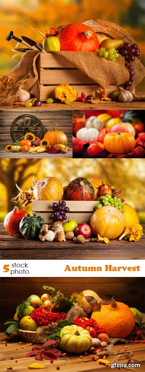 Photos - Autumn Harvest
