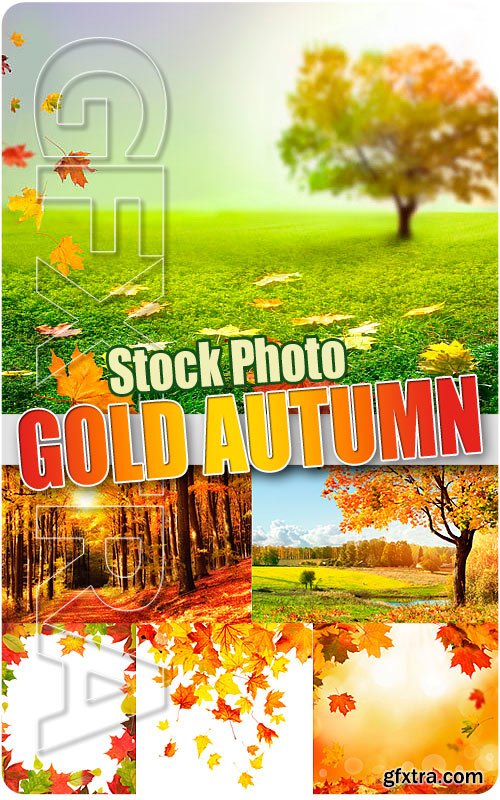Gold Autumn - UHQ Stock Photo