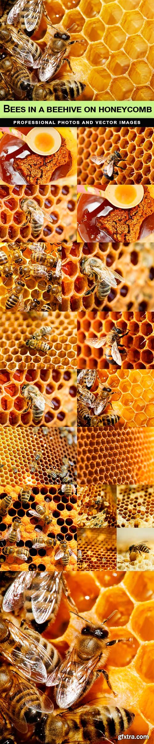 Bees in a beehive on honeycomb - 15 UHQ JPEG