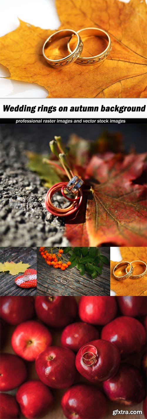 Wedding rings on autumn background