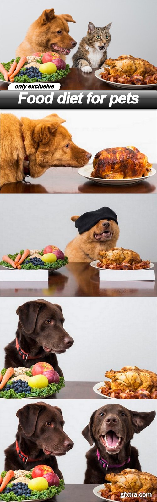 Food diet for pets - 5 UHQ JPEG