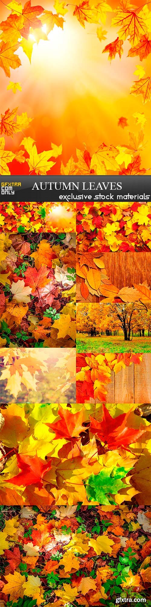 Autumn leaves, 10 x UHQ JPEG