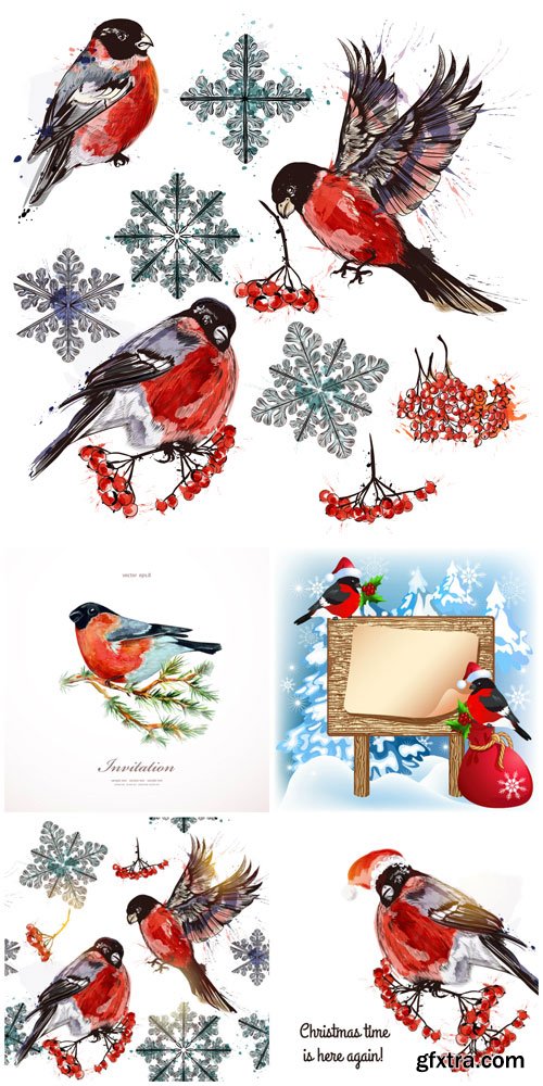Christmas greeting card with bullfinch and rowan