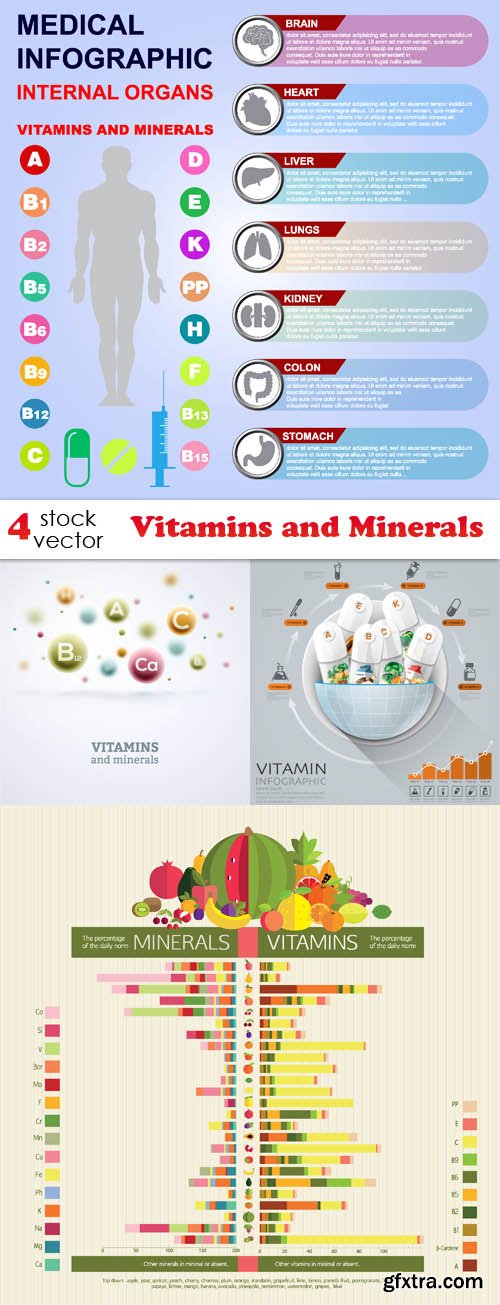Vectors - Vitamins and Minerals