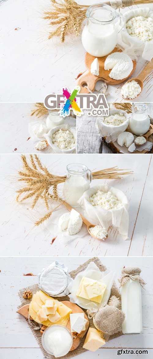 Stock Photo - Dairy Products