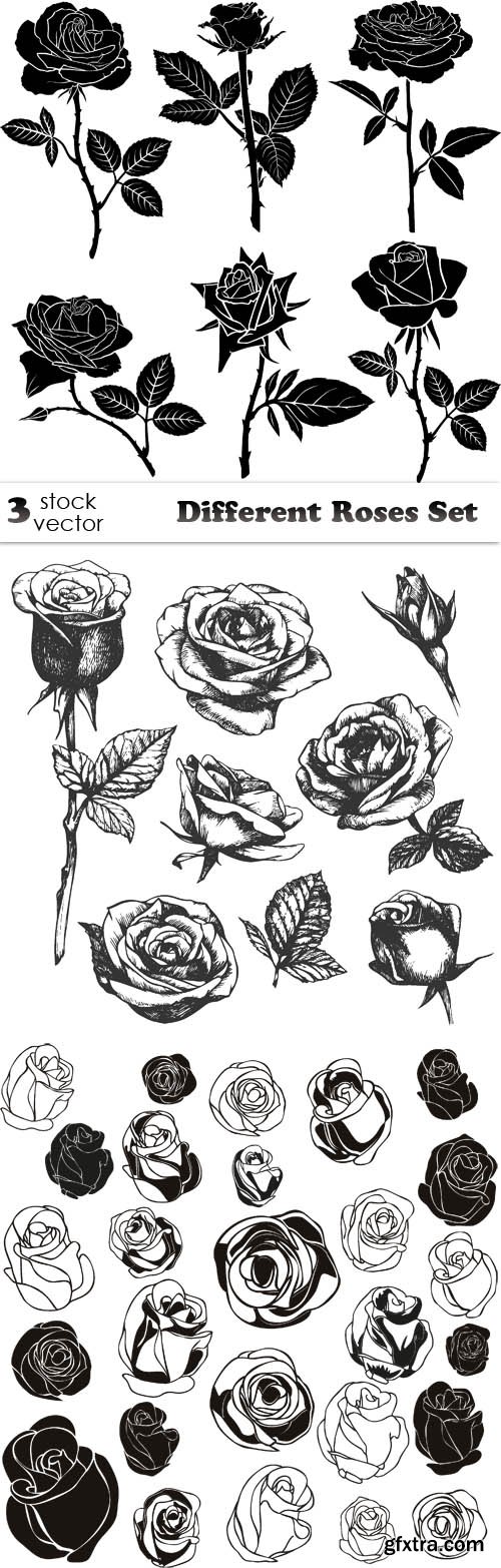 Vectors - Different Roses Set
